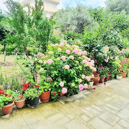 Apartament Me Qera Dublex Lungomare Vlorë 外观 照片