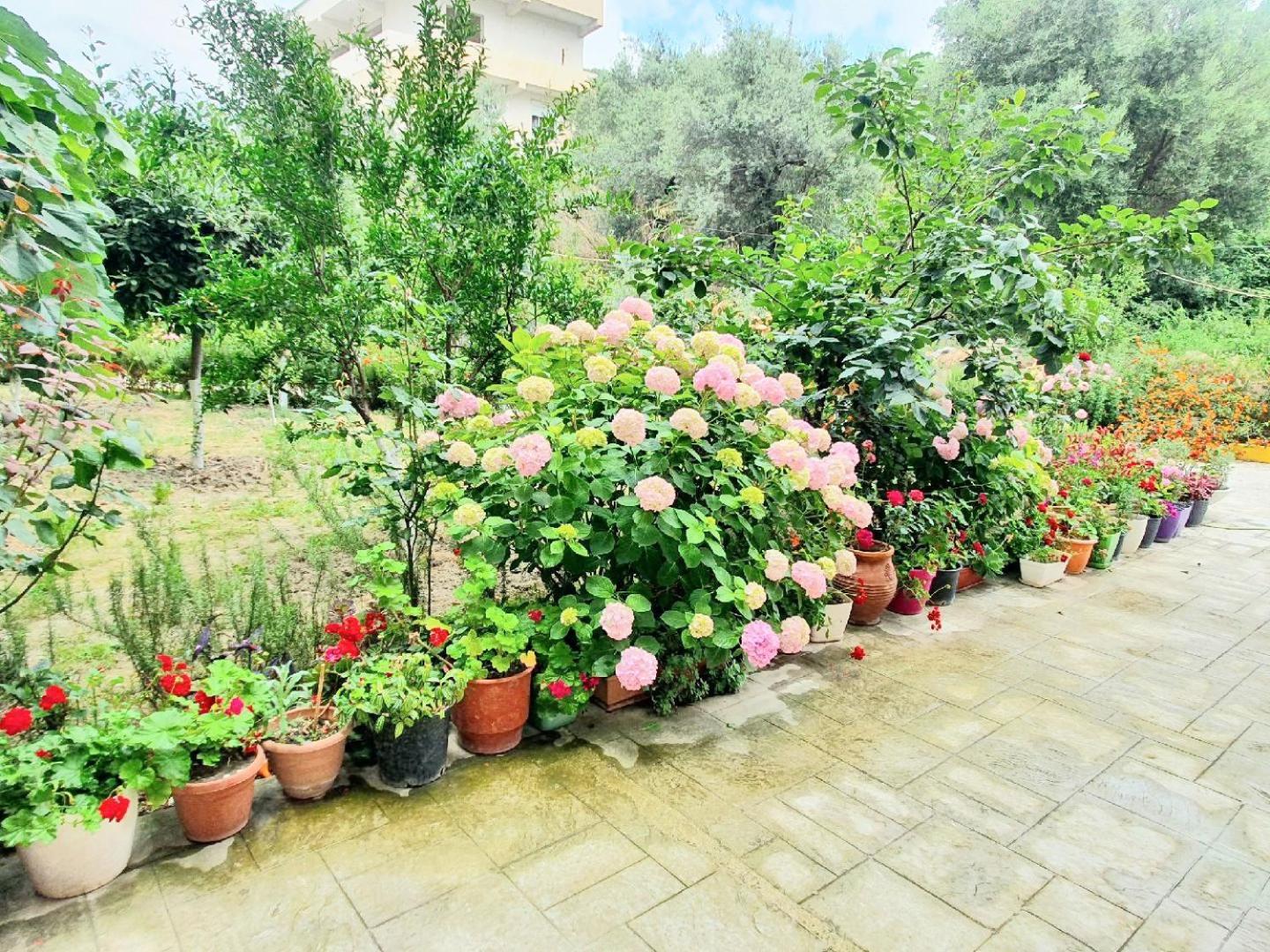Apartament Me Qera Dublex Lungomare Vlorë 外观 照片